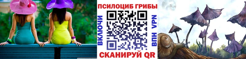Псилоцибиновые грибы MAGIC MUSHROOMS  Купить где  Верхотурье 